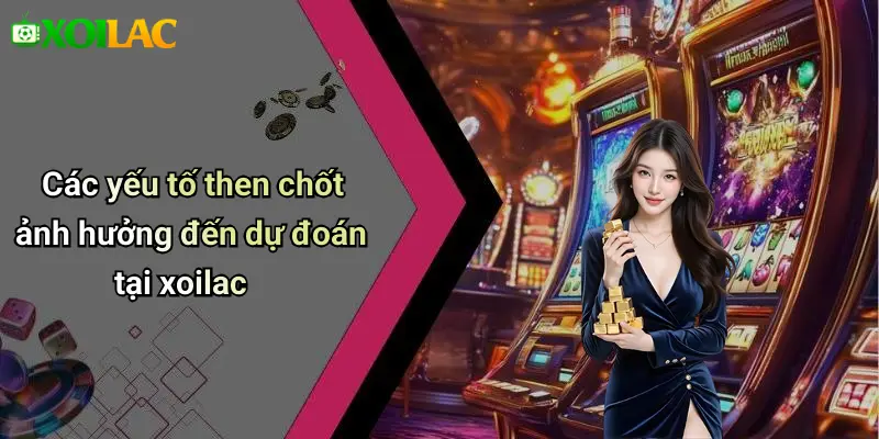 Các yếu tố then chốt ảnh hưởng đến dự đoán tại xoilac