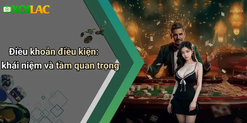 Điều khoản điều kiện: khái niệm và tầm quan trọng