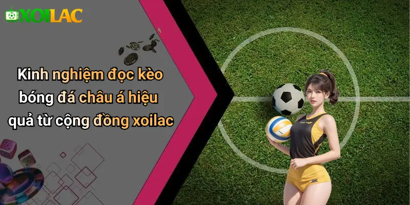 Kinh nghiệm đọc kèo bóng đá châu á hiệu quả từ cộng đồng xoilac
