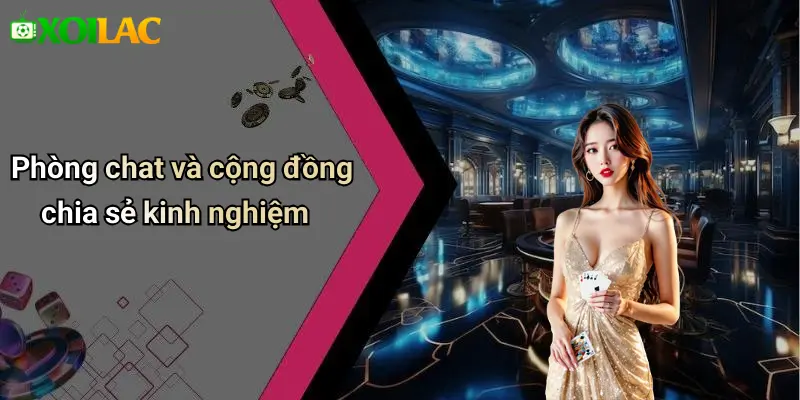Phòng chat và cộng đồng chia sẻ kinh nghiệm
