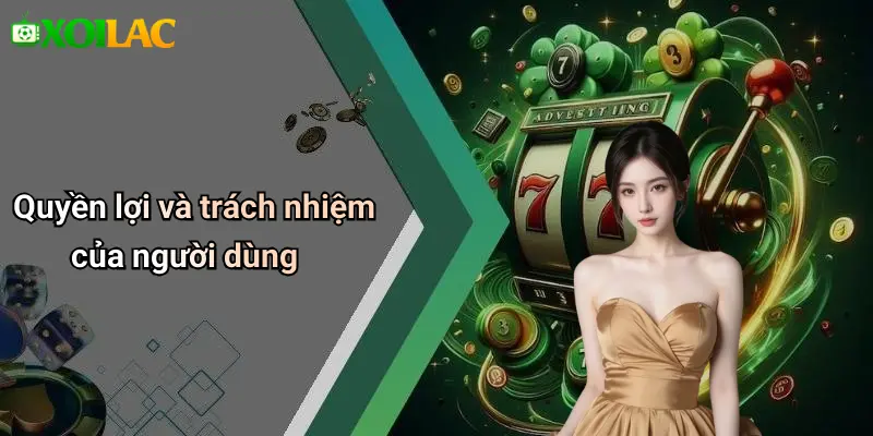 Quyền lợi và trách nhiệm của người dùng