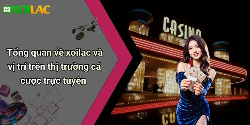 Tổng quan về xoilac và vị trí trên thị trường cá cược trực tuyến