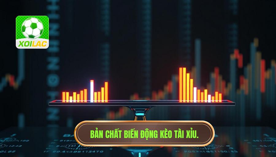 Bản chất của sự biến động kèo Tài Xỉu