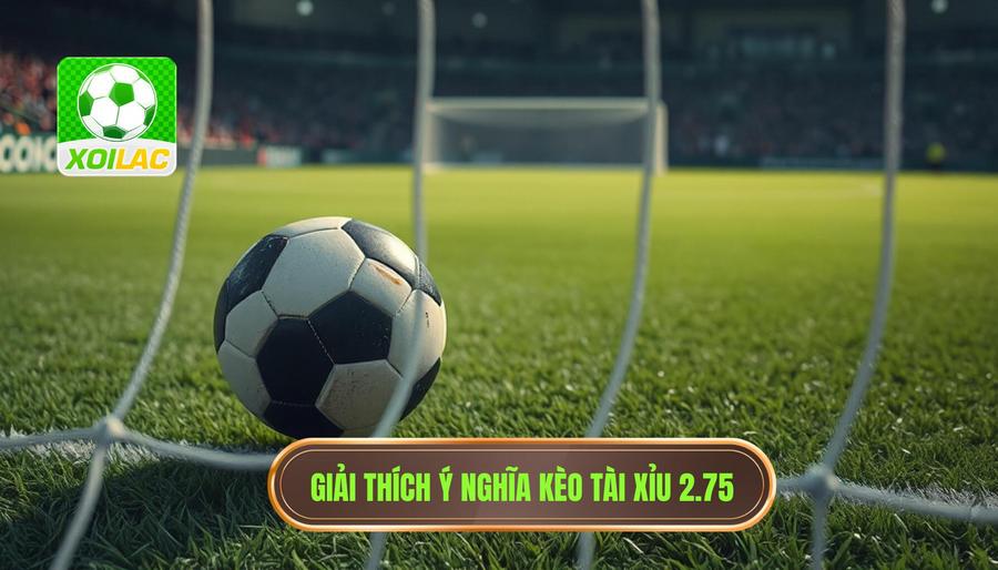 Giải đáp chi tiết: Kèo tài xỉu 2.75 có ý nghĩa gì?